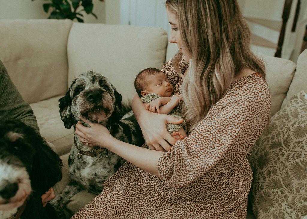 A Bernedoodle pup playfully nudges a newborn boy, their playful interaction adding a touch of whimsy to the cozy home setting. Captured by Holly Springs Newborn Photographer - Victoria Vasilyeva Photography.