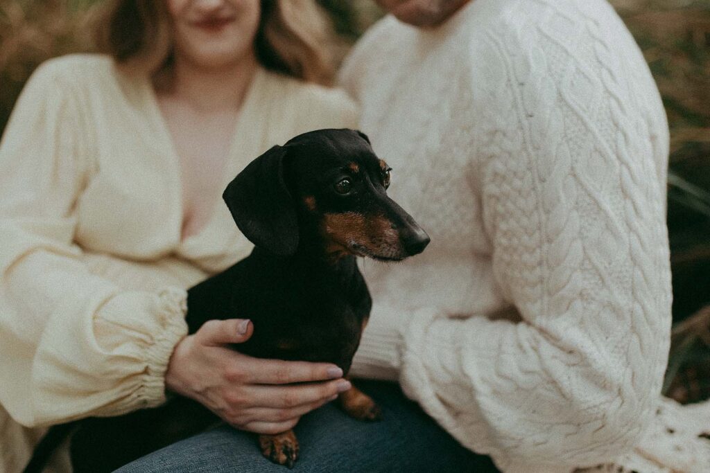 A soon-to-be mom, elegant in a flowing maxi dress, and her partner, clad in a warm white knitted sweater, share a serene moment of togetherness. Nestled in front of them is their tiny dachshund, capturing the love and joy that comes with expecting a new addition to the family.