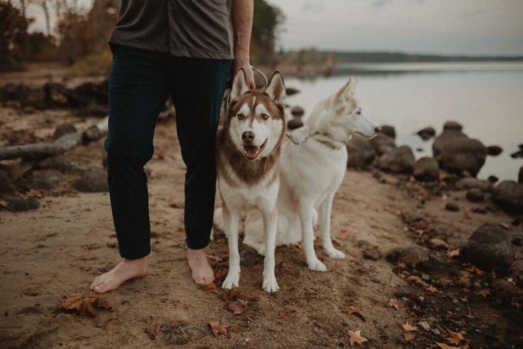 Two dogs standing beside the expecting father during a maternity photo session by the lake in Greensboro, NC. Natural family-focused maternity photography by a Greensboro maternity photographer.